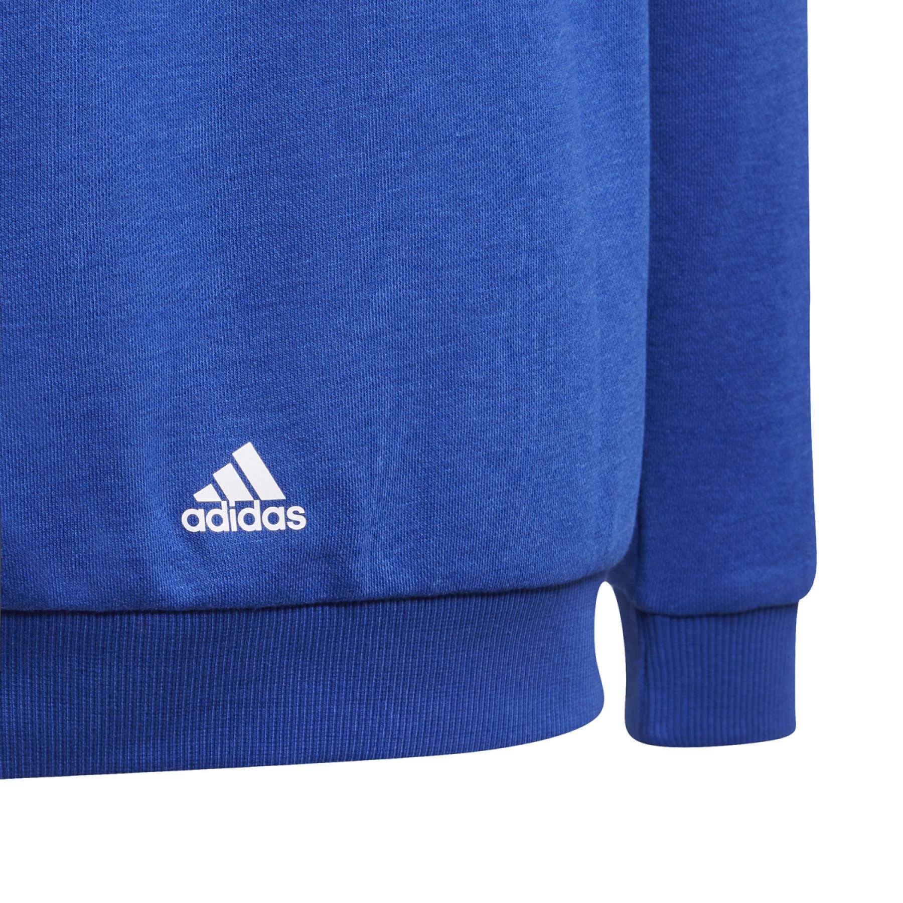 Sweater met capuchon voor kinderen adidas Essentials Logo