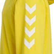 Sweat katoenen hoodie voor kinderen Hummel Go