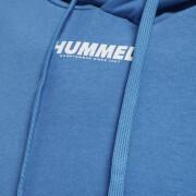 Hooded sweatshirt Hummel Legacy